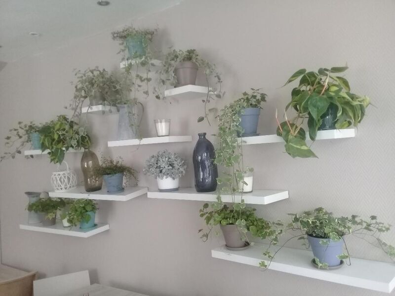 Décor végétal de la salle
